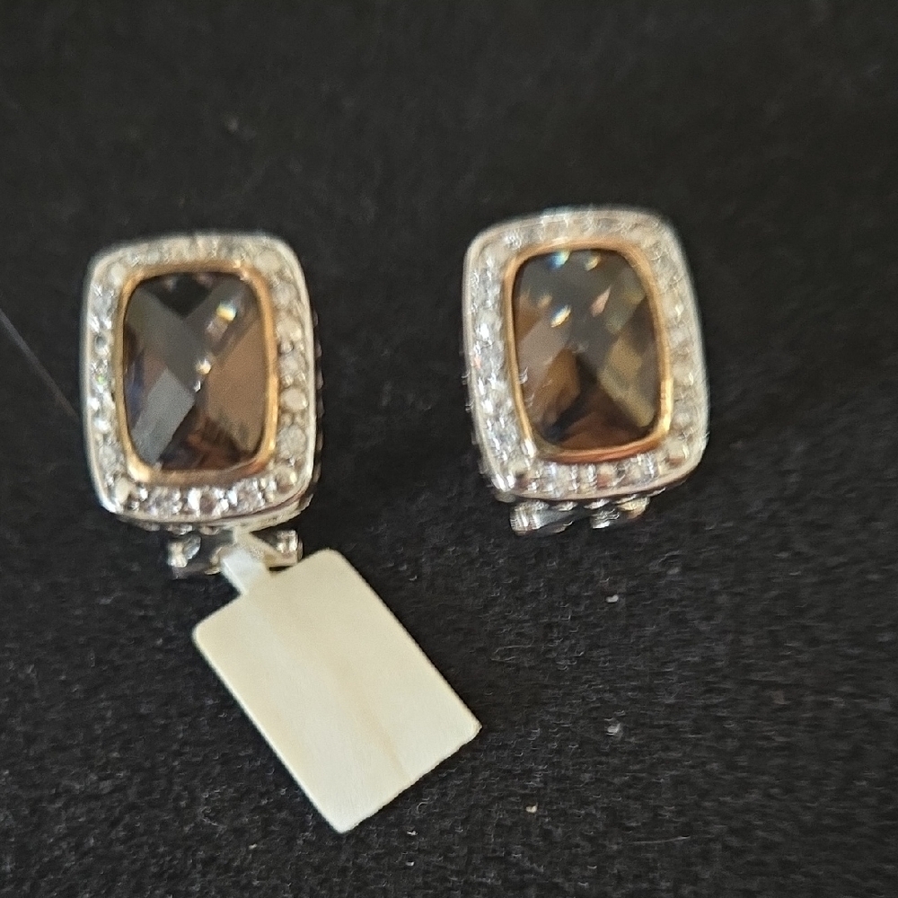 Elegant Silver and Brown Earrings